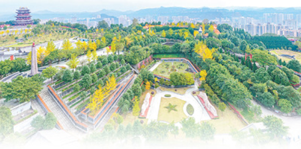 图片4